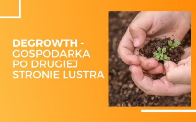 Degrowth – gospodarka po drugiej stronie lustra